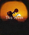 This Week